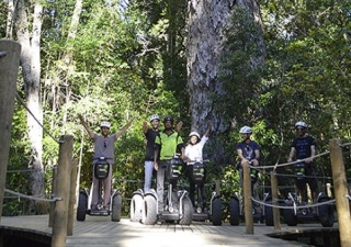  Segway adventure with the park 